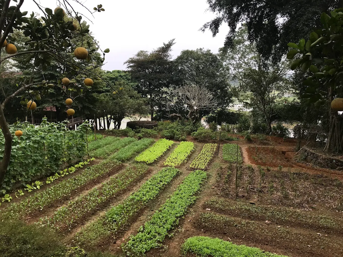 2-Day Hanoi Countryside Bicycle Tour